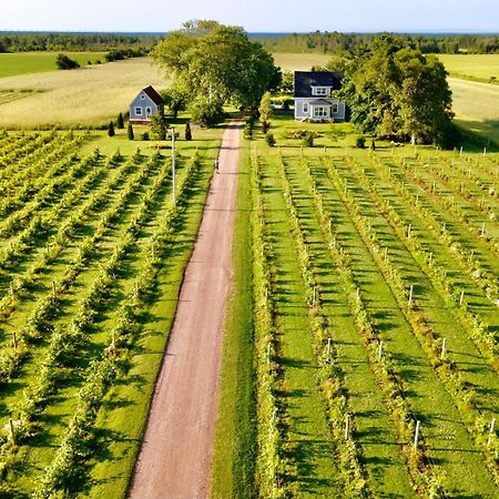 Sunbury Cove Winery Bed & Breakfast Miscouche Bagian luar foto