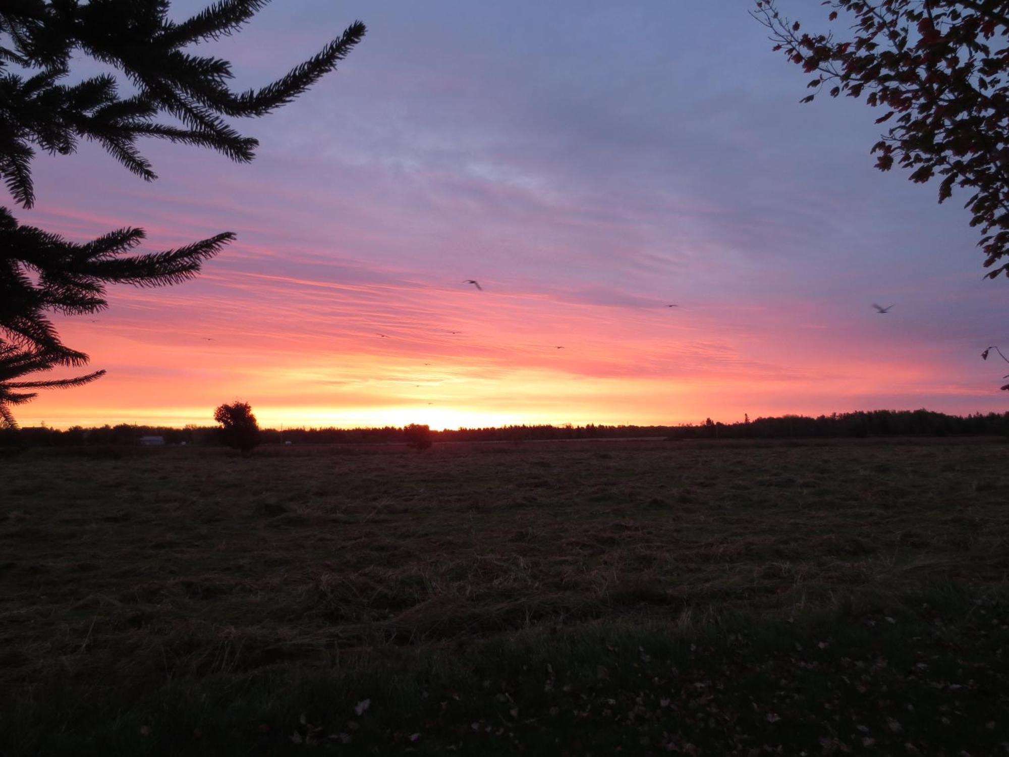 Sunbury Cove Winery Bed & Breakfast Miscouche Bagian luar foto